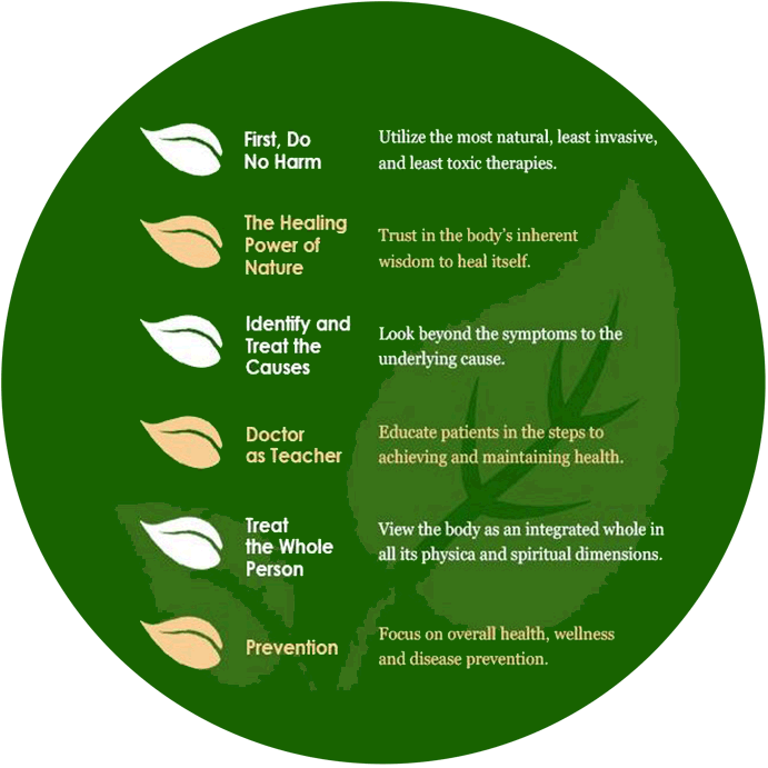 How Naturopathic Medicine Works